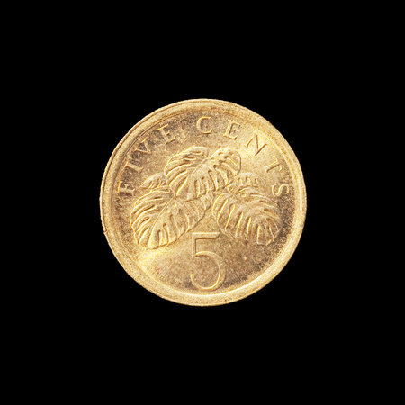 Small coin from Singaporeの写真素材