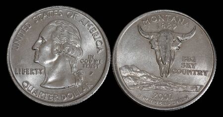 Quarter dollar from Montanaの写真素材