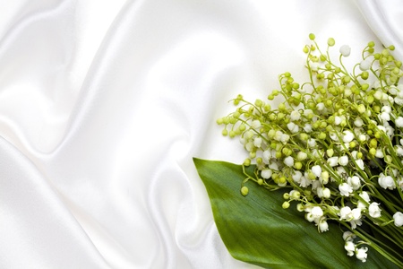 Lily of the valley on white silk backgroundの写真素材