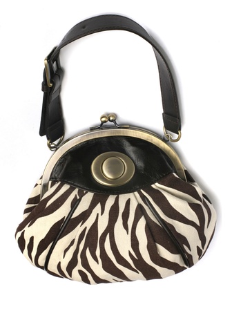 Luxury Handbagの写真素材