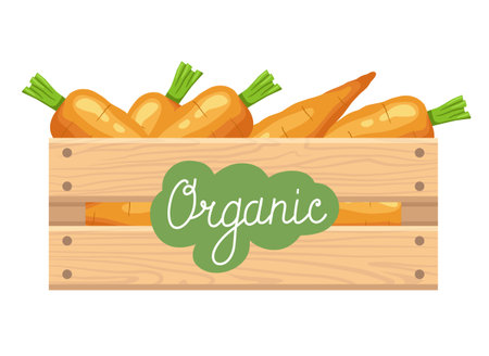 Wooden box with carrots and Organic sticker. Vector clipart isolated on white background.のイラスト素材