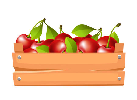 Wooden box with cherries. Vector 3D illustration isolated on white background.のイラスト素材