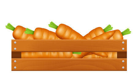 Wooden box with carrots. Vector clipart isolated on white background.のイラスト素材