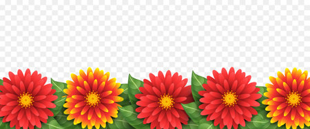Border or frame of flowers. Vector illustration isolated on transparent background.のイラスト素材