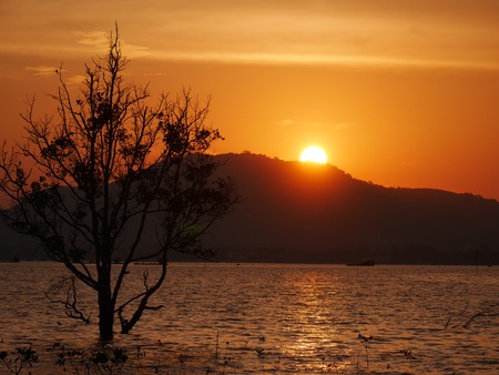 sunsetの写真素材