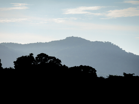 beautiful cloudy blue sky background and silhouette trees on mountainの写真素材