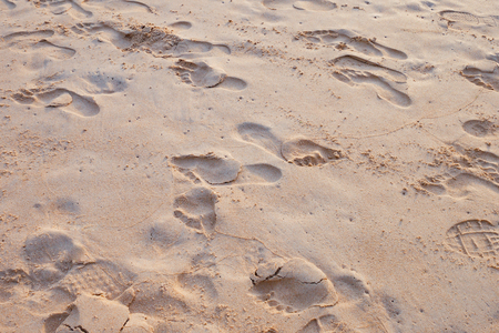 footprint and shoe print on sand at the beachの写真素材