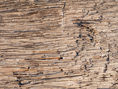 wood surface backgroundの写真素材