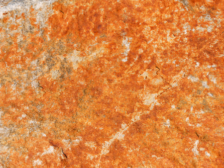 stone surface backgroundの写真素材
