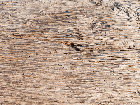 wood surface backgroundの写真素材