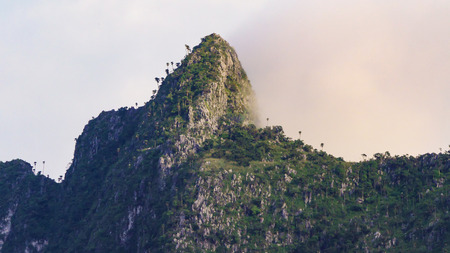 the peak of high mountain coverd with beautiful mist and cloud. Full of limestone and cliffs.
