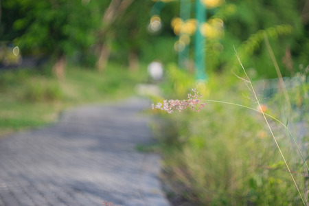 blurred image of glass flowerの写真素材