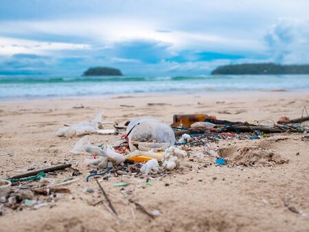 Environmental pollution. Ecological problem. Garbages, plastic, and wastes on the sandy beach of tropical sea. Island and mountain background.の写真素材