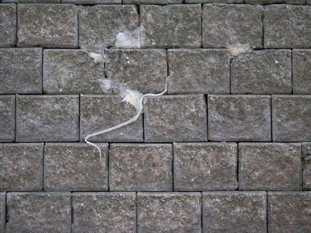 Snake carcass molting on concrete blocks wall backgroundの写真素材
