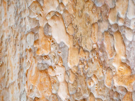 full frame bark of tree for natural background and textureの写真素材