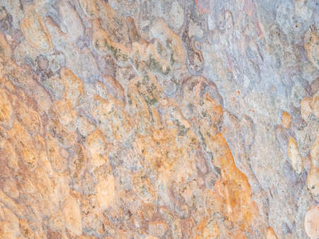 full frame bark of tree for natural background and textureの写真素材