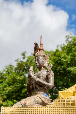 Common Myna Bird  perching on  figure of deva (Angel)の写真素材