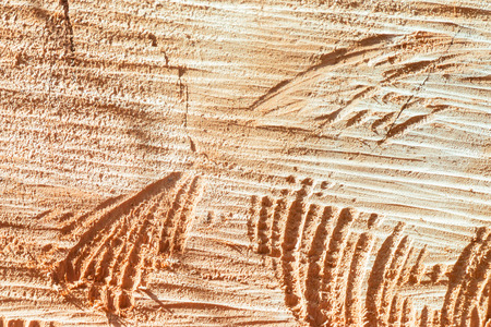 Finix of bird texture on Wood background, close up wooden texture backgroundの写真素材