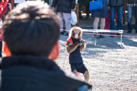 Man sit to look monkey circus, he on stilts try to walk and Jump.の写真素材