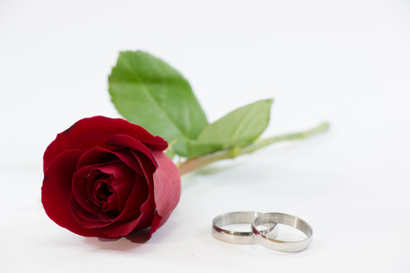selected focus on Red Rose. Engage ring on white background, Valentines Day background, wedding dayの写真素材