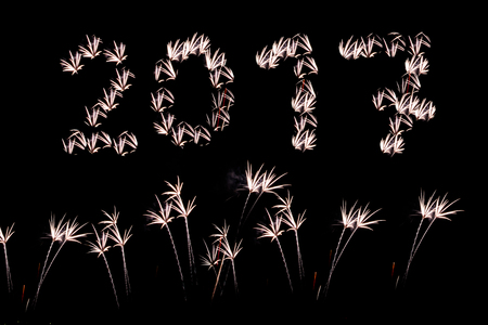 Fireworks light up the sky celebrate in happy festival. Happy new year.