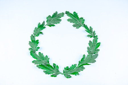 Floral round crown(wreath) white daisy and green leaf. Isolated white background. summer and spring. Space for text. Flat lay, top viewの写真素材