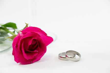 Rose and engage ring on white background, Valentines Day background, wedding dayの写真素材