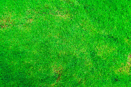 floor grassの写真素材