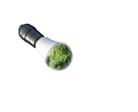 Idea Safe Lamps Reflections on Energy, Idea, Investment, Ideasの写真素材