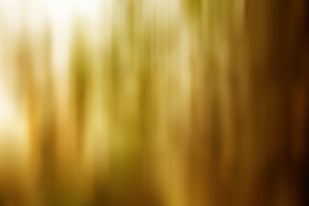 Blurring the background lights swirling light color, tendingの写真素材