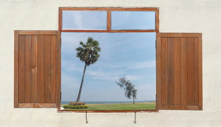 Wooden windows reflect the palm tree sea view.