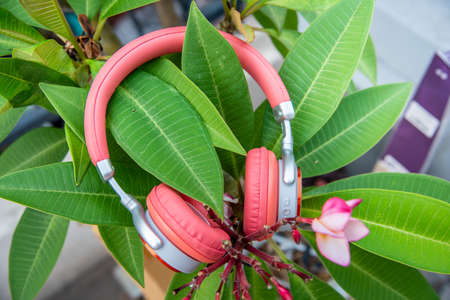Wifi headphones technology and nature, a new system in 9 d sound technology, Headphones of different types flat layの写真素材