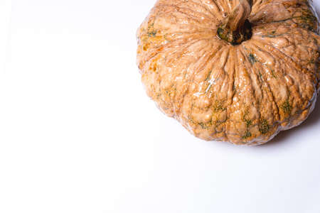 Pumpkin on wooden floor background Pumpkin Mini Tientsin Pakchoi Pumpkin on white background Organic systemの写真素材