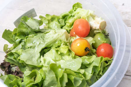 Salad vegetables, tomatoes in a plastic bowl, organic system, healthy food, on a wooden floor.の写真素材