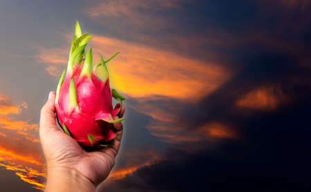 Dragon fruit isolated from white background clipingpartの写真素材