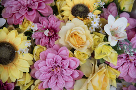 beautiful multicolored flowers for decorationlots of natureの写真素材