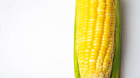Corn on a white background An ear of corn isolated on a white background Export products Processedの写真素材