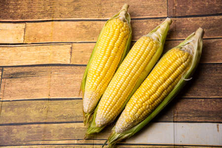 Corn on the wooden floor An ear of corn isolated on a white background Export products Processed