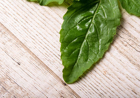 basil Asian street food leaves isolated
on wooden floor background with path.の写真素材