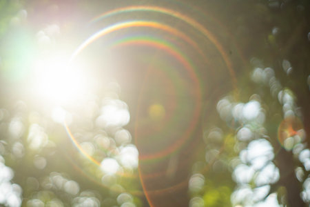 bokeh leaf blur background imageの写真素材