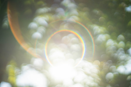 bokeh leaf blur background imageの写真素材