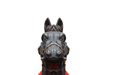 Horse, stone face, isolated backgroundの写真素材