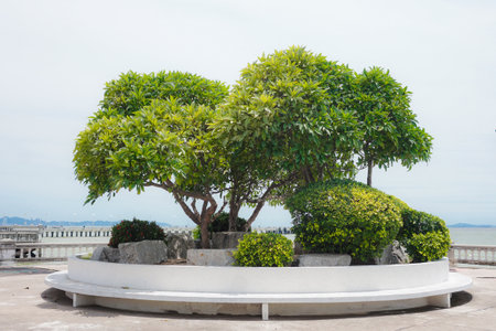 Gardening with trees in the outdoor seating area of ââa beautiful garden. Decorationの写真素材