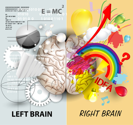 Left and Right brain functionsのイラスト素材