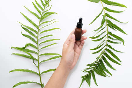 woman hand holding serum bottle beauty products and green leaves on white backgroundの写真素材