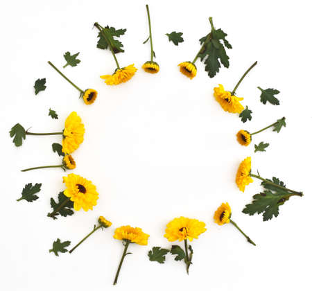 Framework from yellow flowers on white background. Flat lay composition with copy spaceの写真素材