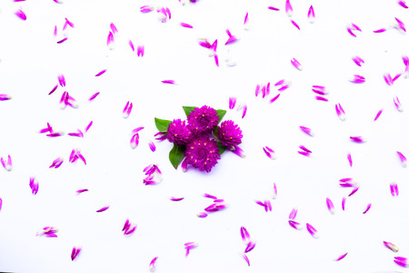 Valentine's background. Flowers pattern texture, can used for wallpaper, backdrop or skin wall tile luxurious.の写真素材