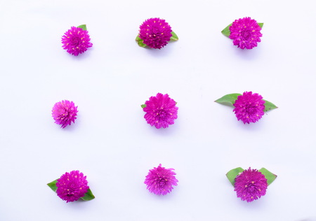 Valentine's background. Flowers pattern texture, can used for wallpaper, backdrop or skin wall tile luxurious.の写真素材