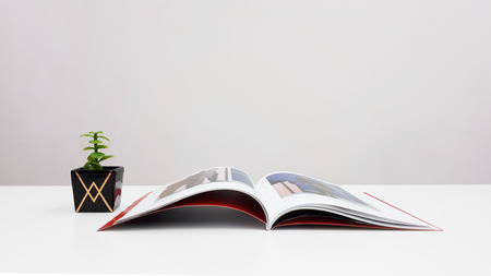 opened magazine with a small plant on the table - home/office display conceptの写真素材