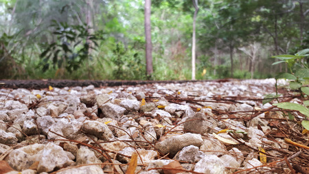 Focused view of stones near the walkway inside the parkの写真素材